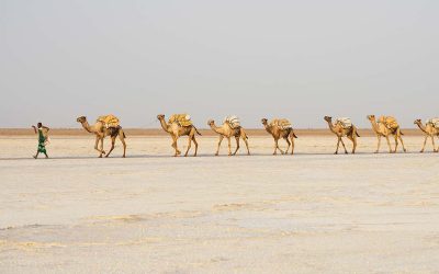 3 Days Danakil: Erta Ale Volcano & Dallol