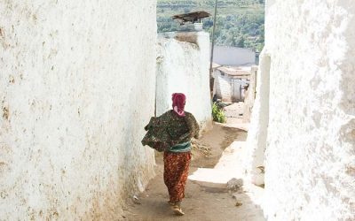 Harar City, Hyena Feeding & Awash NP Safari – 5 Day Trip