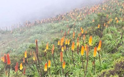 National Parks In Ethiopia